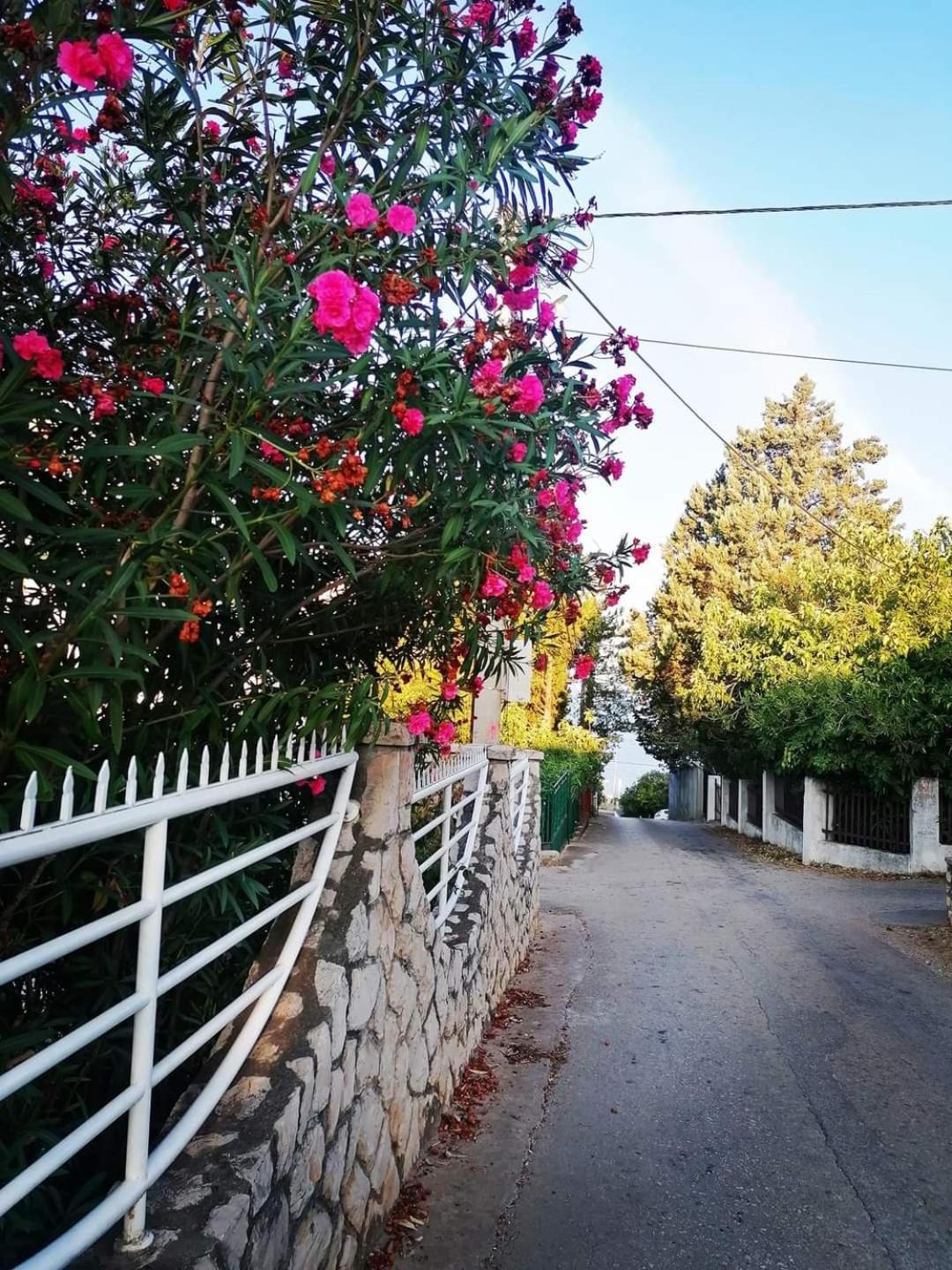 Apartmani Ljubica Utjeha Esterno foto